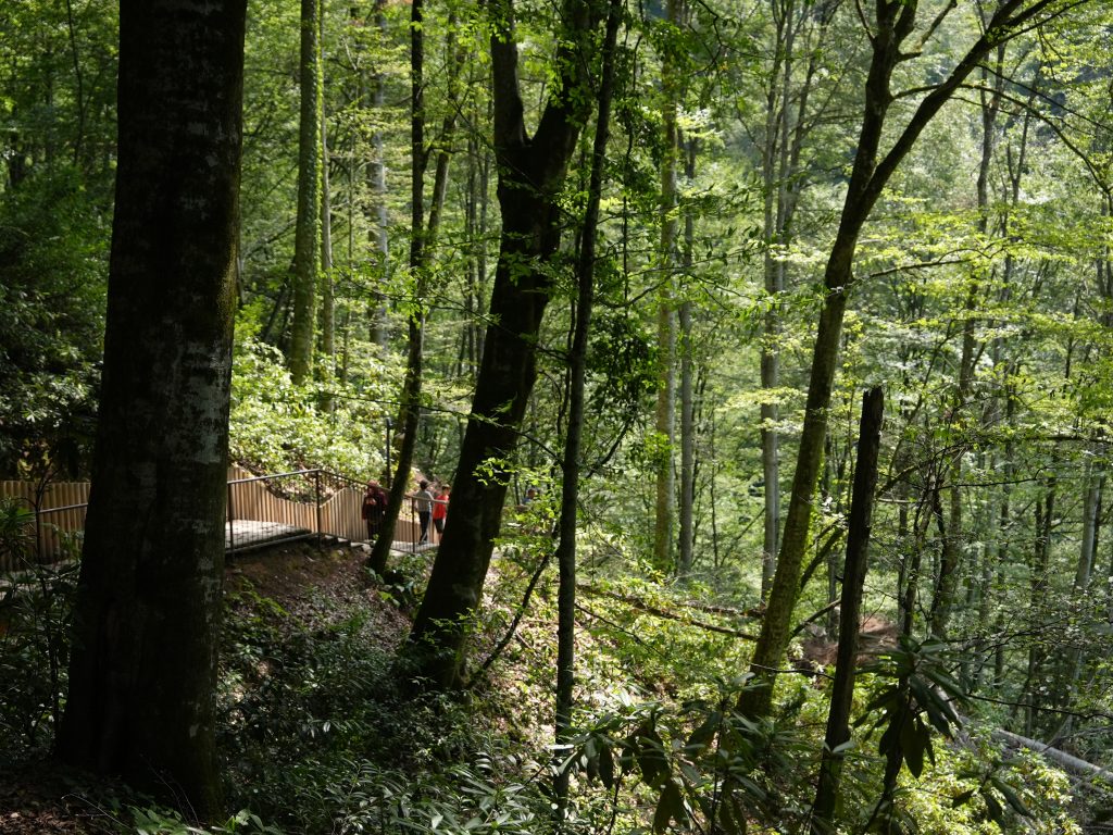 Düzcenin en güzel yerleri arasında Güzeldere Şelalesi"