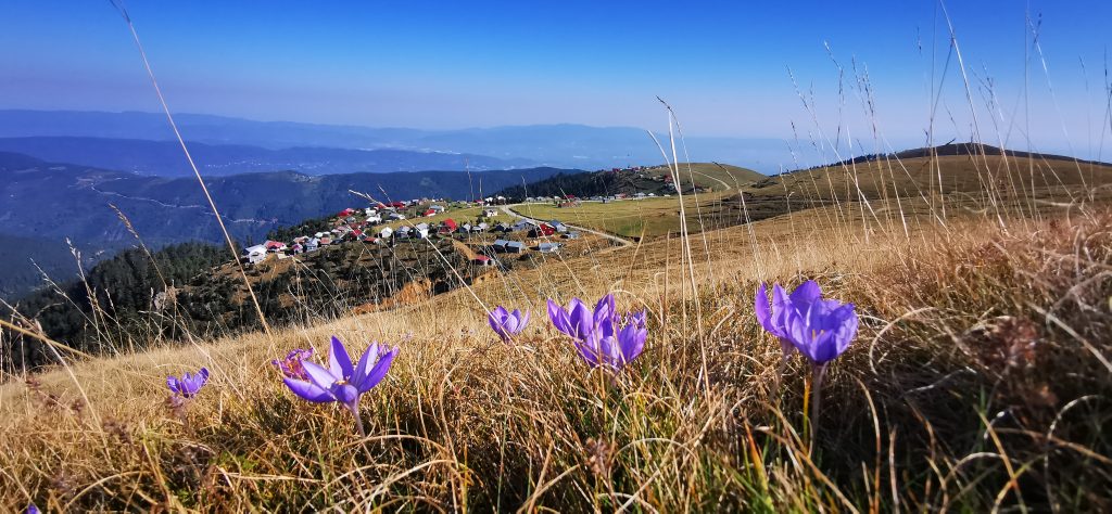 Düzce Kardüz Yaylası panoramik doğa manzarası ve Hypium Otel konaklama seçenekleri